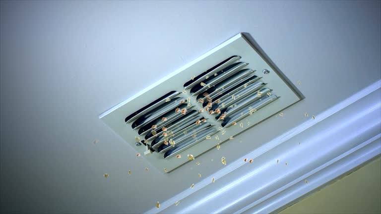 Best Air Duct Cleaning Company Near Me  in North Wildwood, NJ