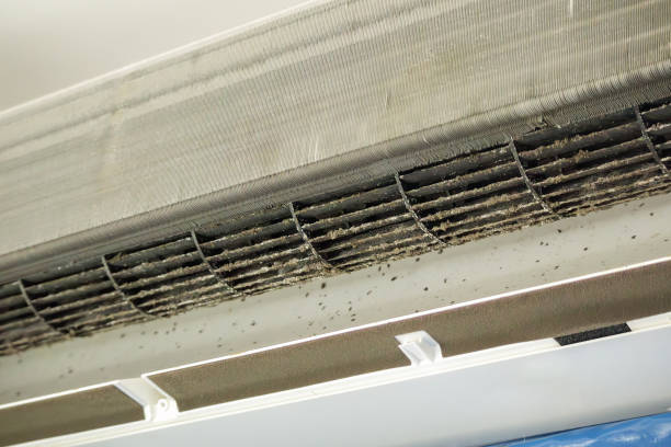 Best Affordable Air Duct Cleaning  in North Wildwood, NJ
